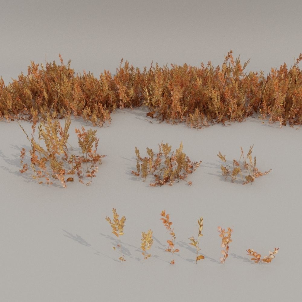nordic forest plants B collection Low-poly 3D model_1