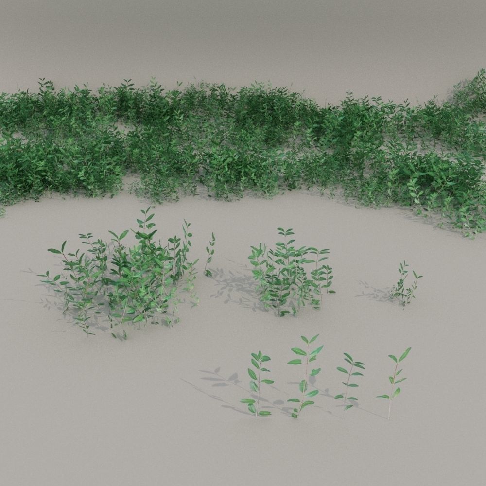 nordic forest plants B collection Low-poly 3D model_2
