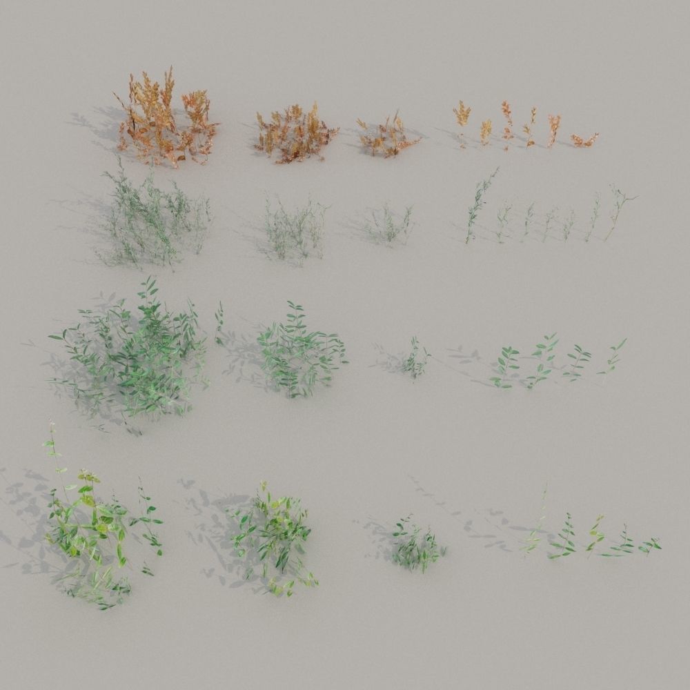 nordic forest plants B collection Low-poly 3D model_5