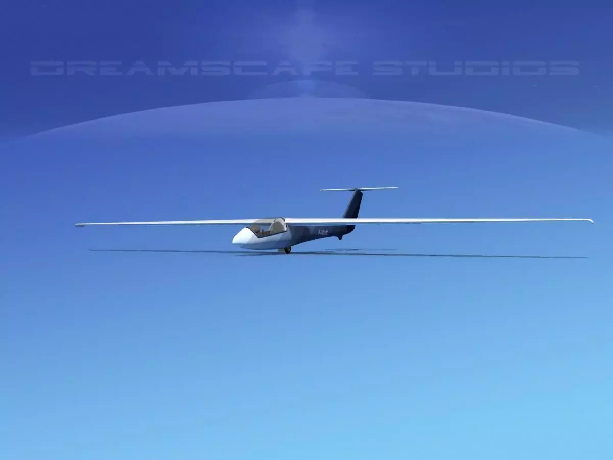 SZD-36 Cobra Glider V03 Low-poly 3D model_0