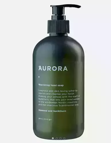Aurora Hand soap - 3D model