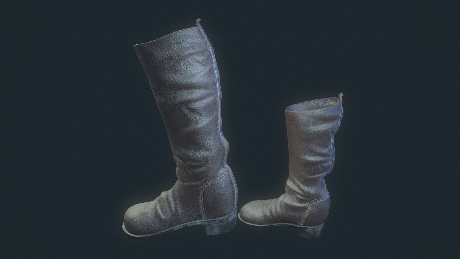 wellingtons 3D model