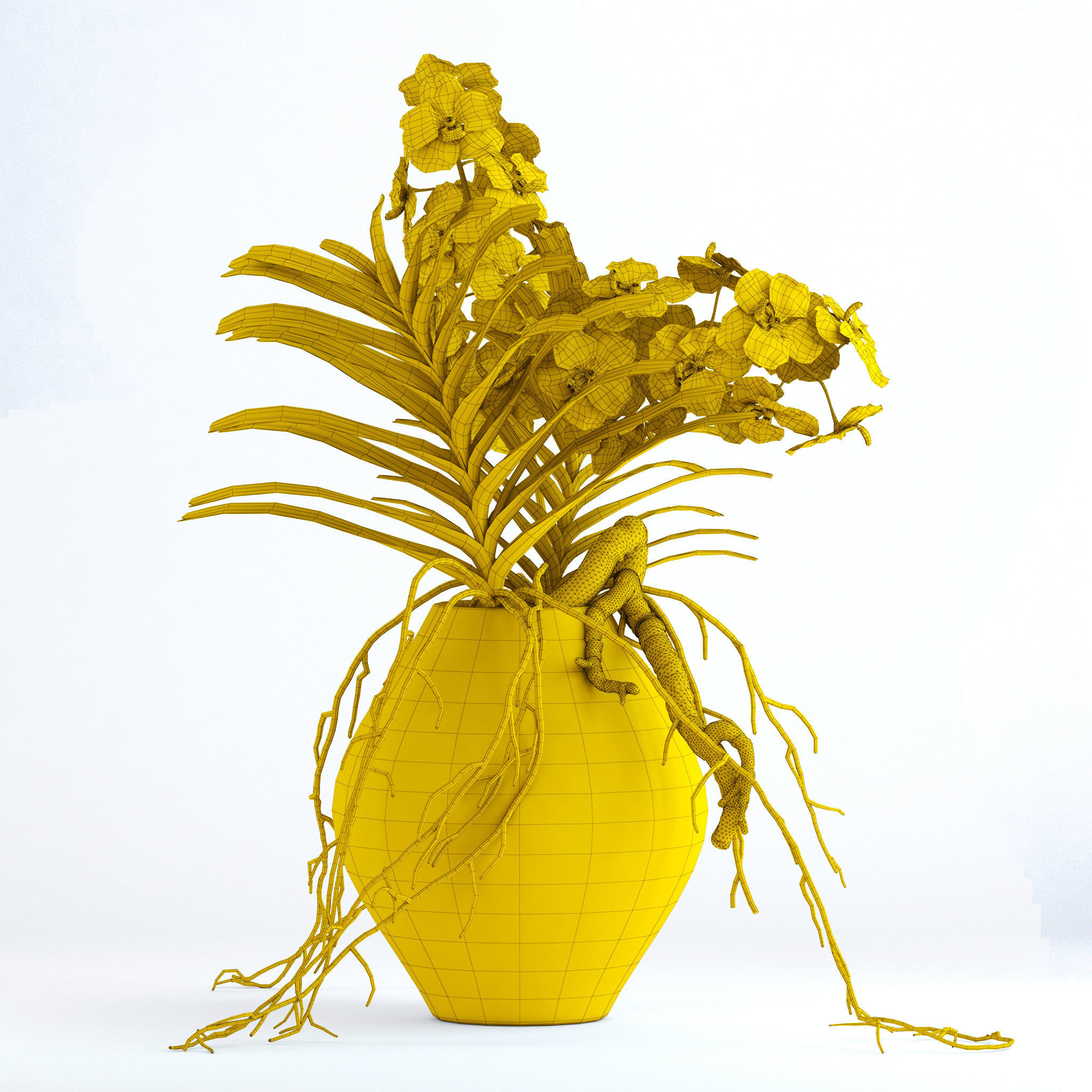 Vanda orchids 3D model_9