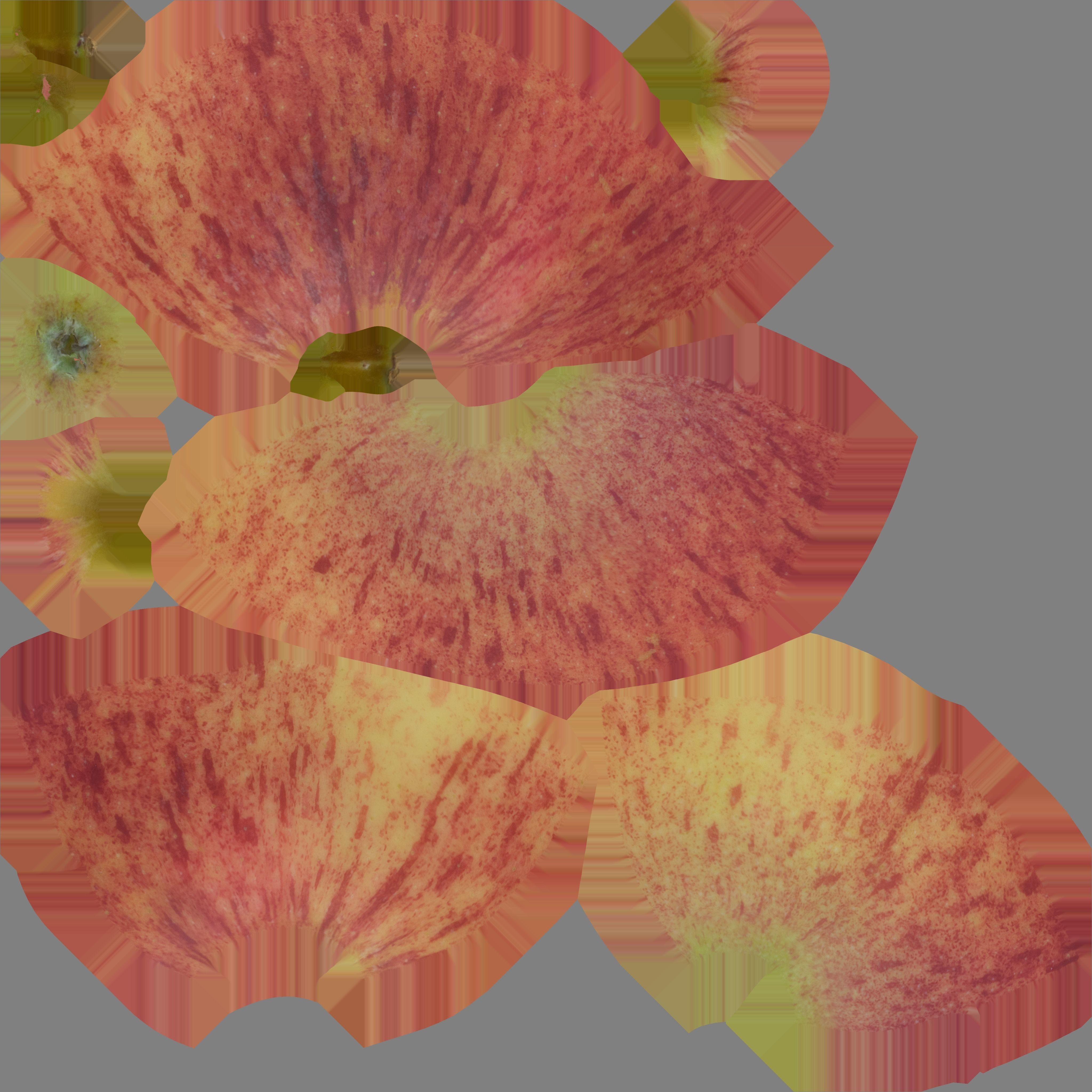 Apple Red 01 - 3D Scan Low-poly 3D model_9