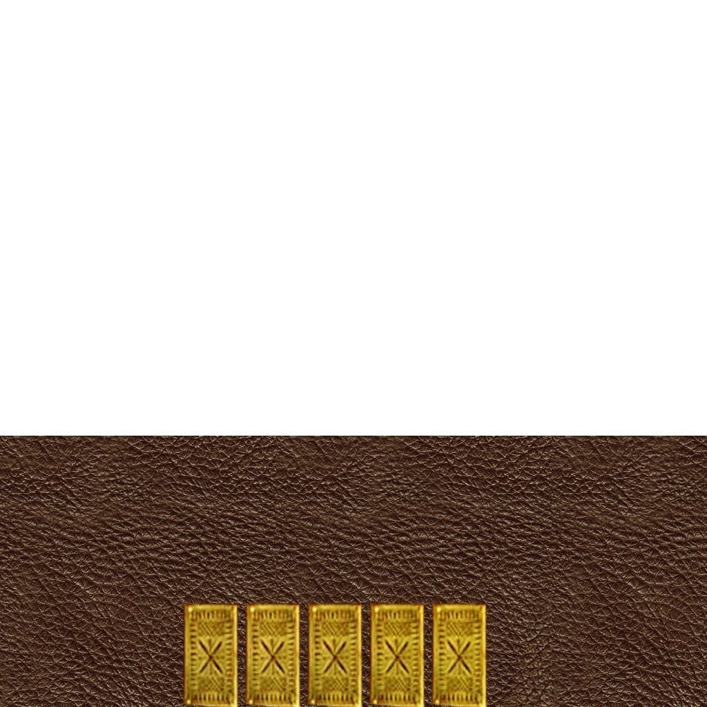 Roman armor all Low-poly 3D model_35