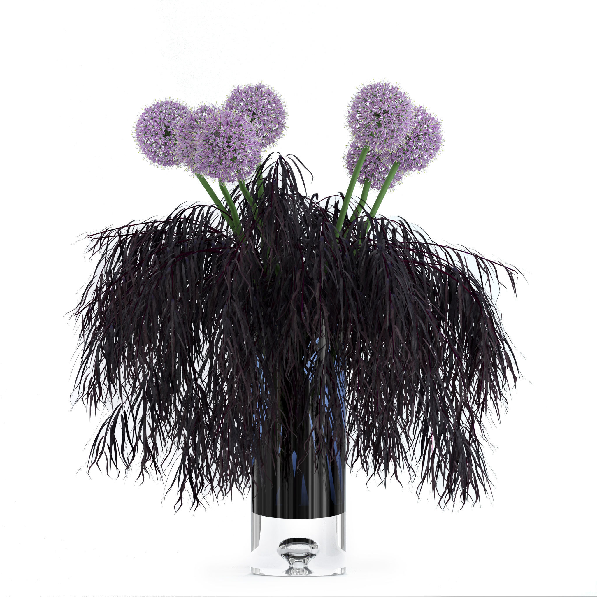 Allium and Agonis 3D model_4