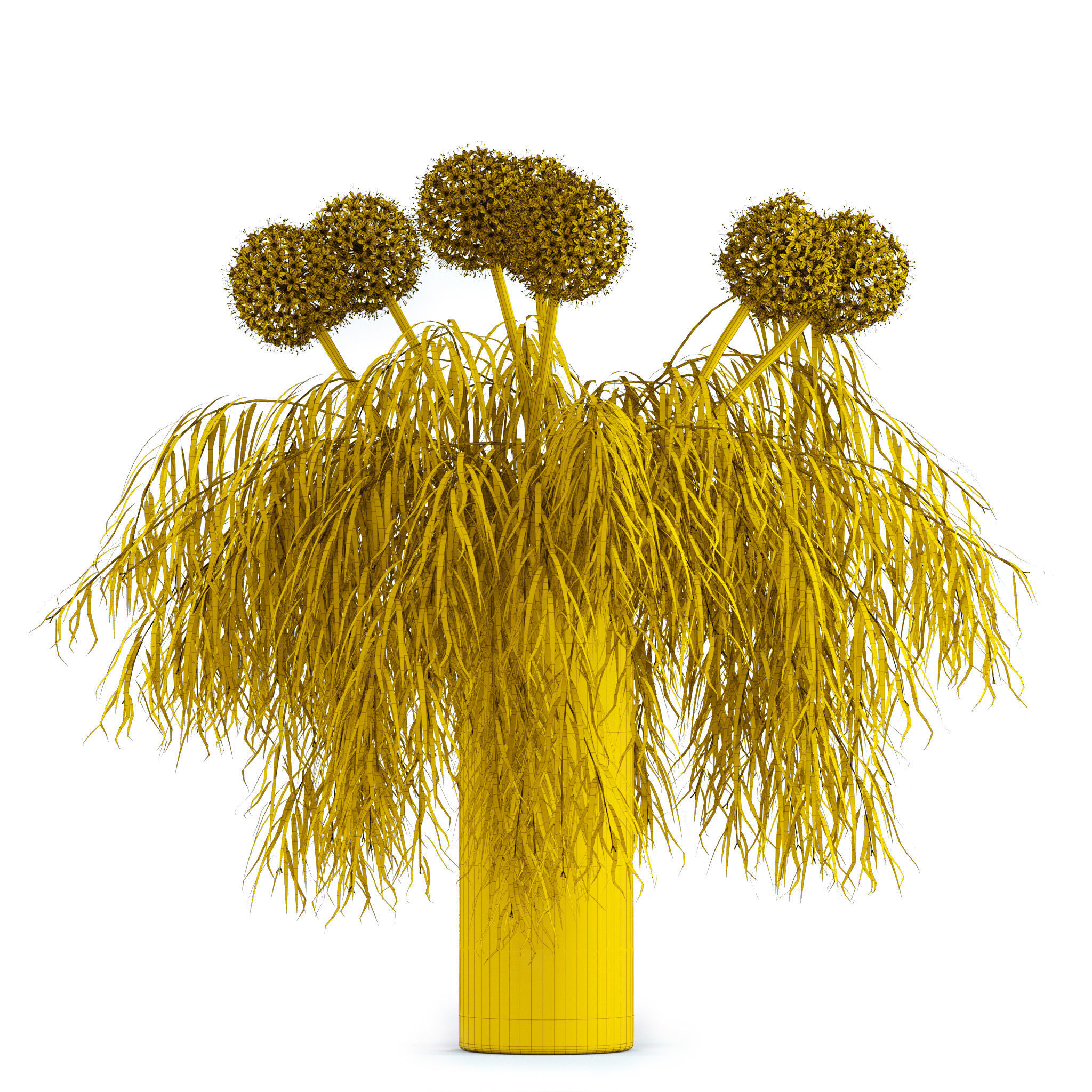 Allium and Agonis 3D model_7