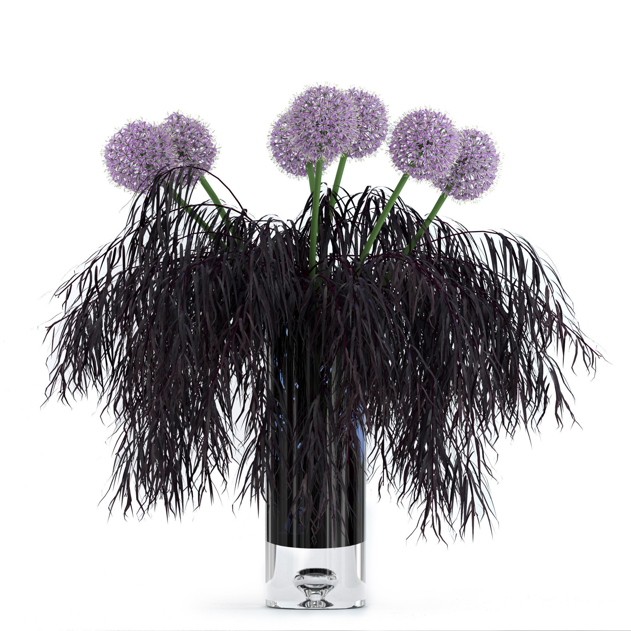 Allium and Agonis 3D model_3