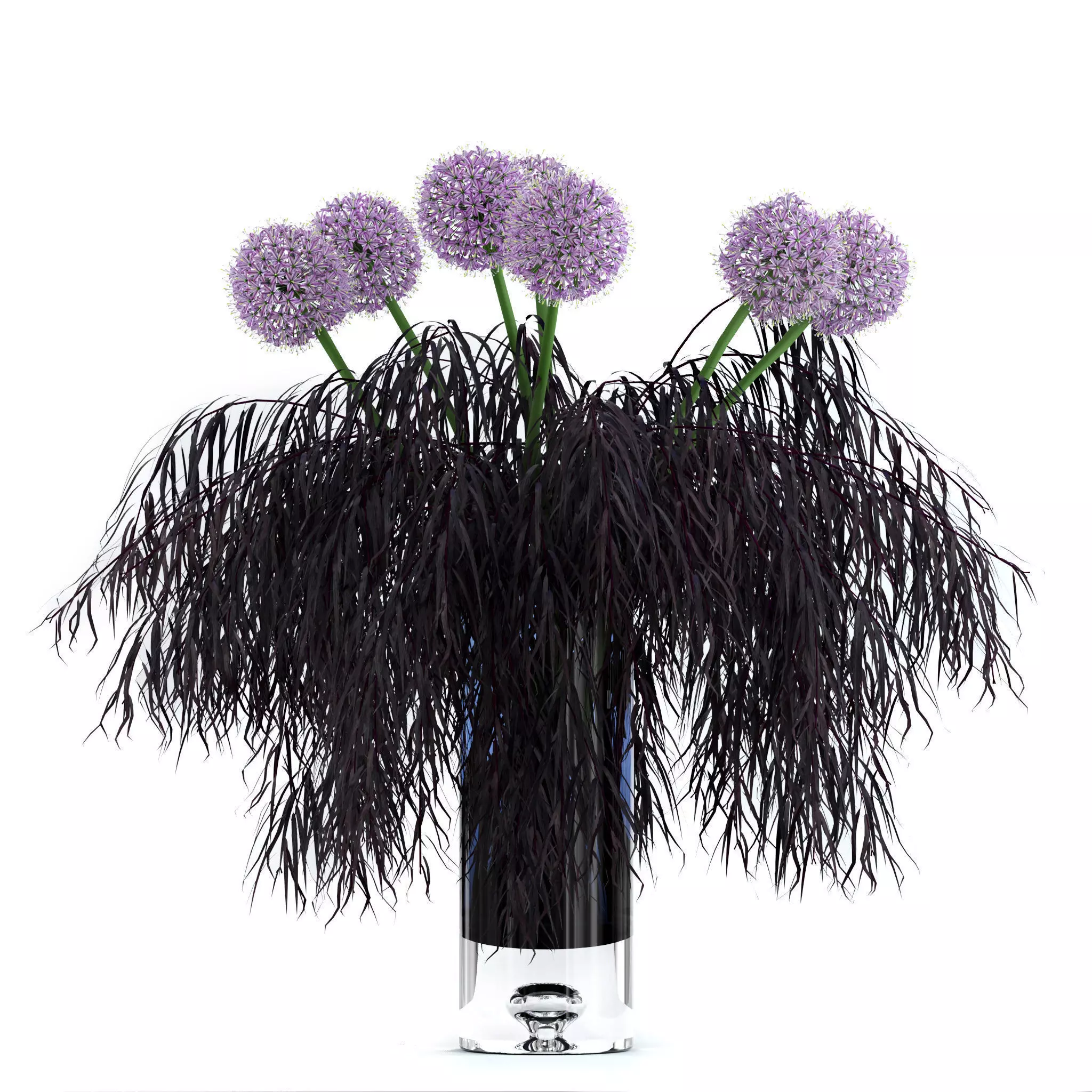 Allium and Agonis 3D model_0