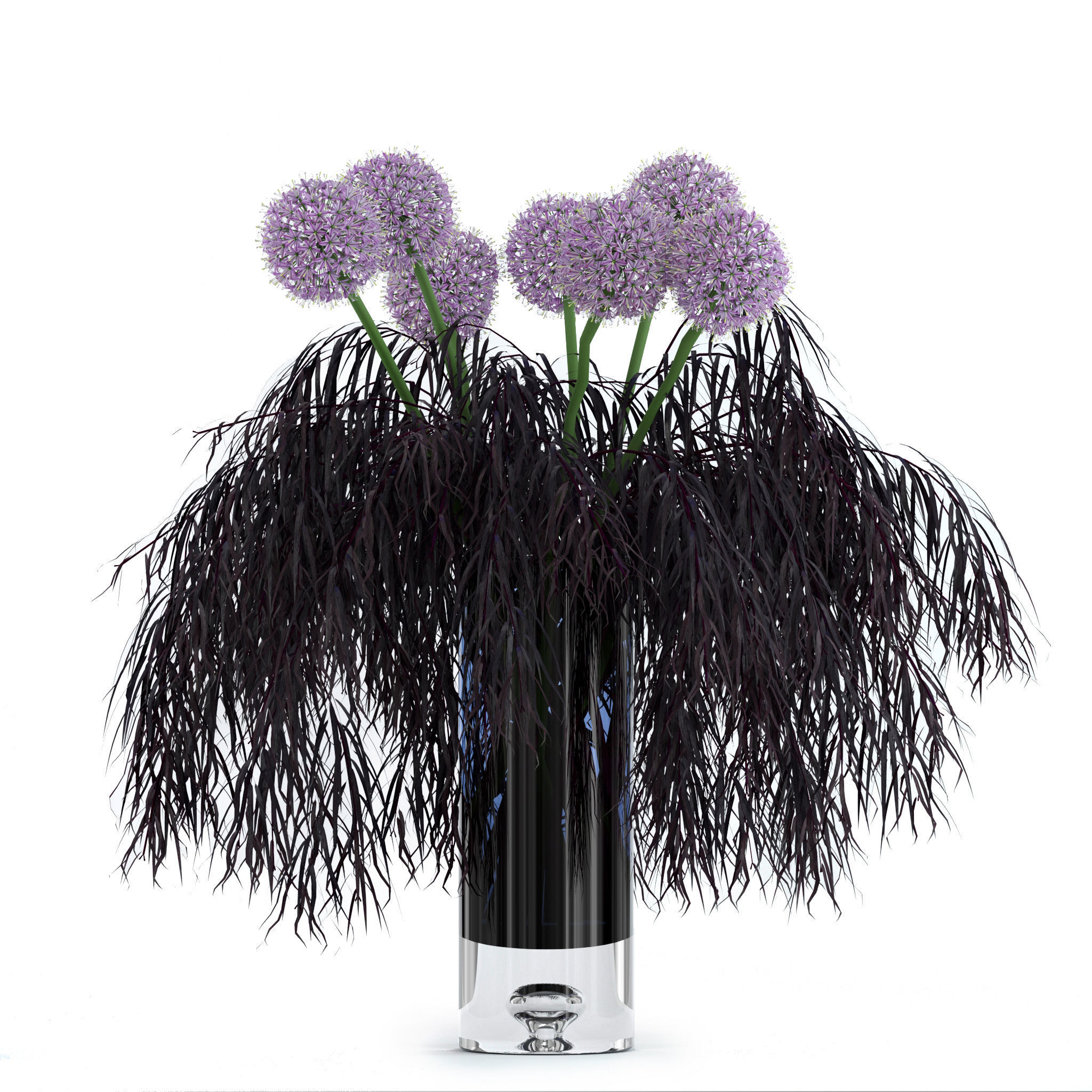 Allium and Agonis 3D model_5