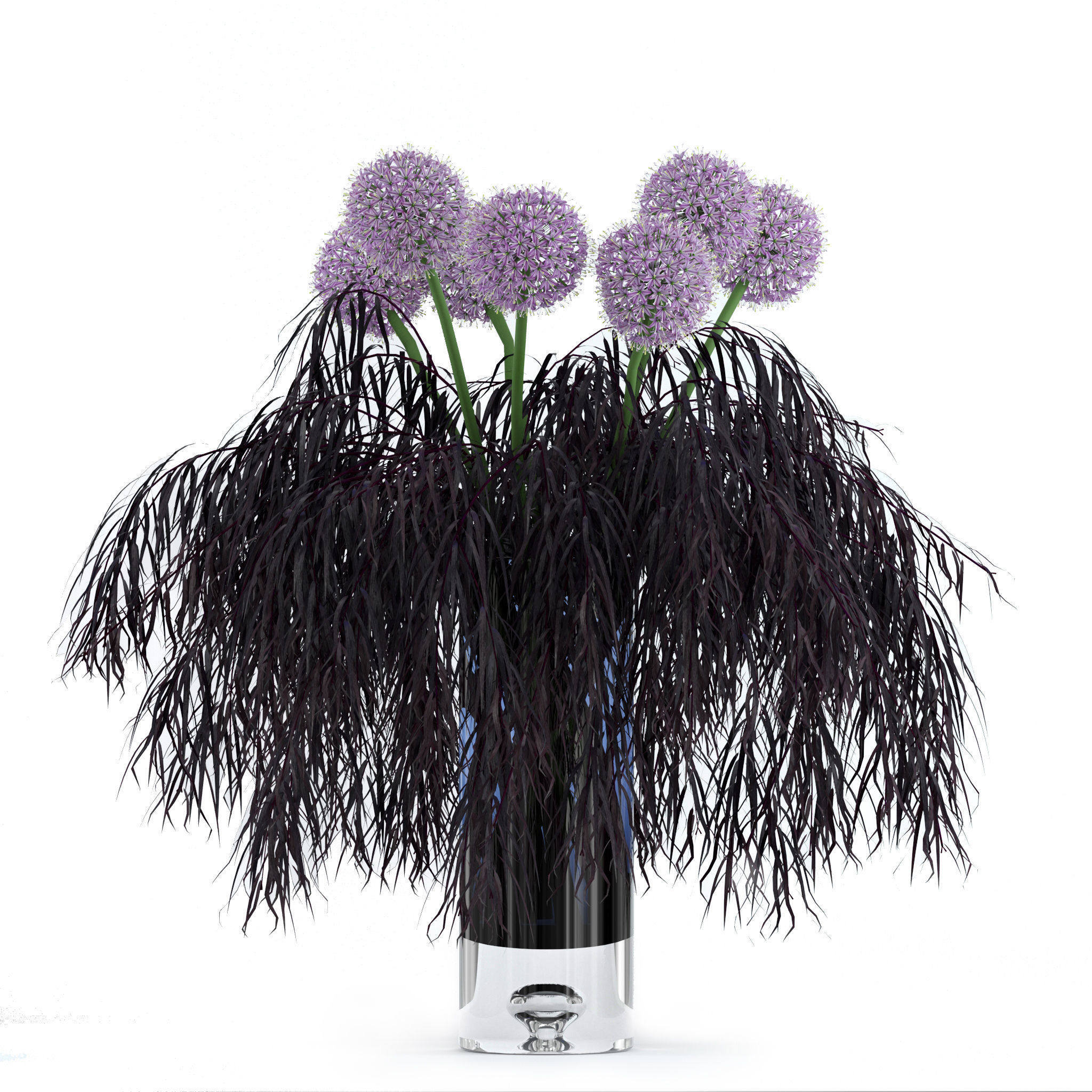 Allium and Agonis 3D model_2
