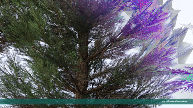 Pine tree LOW POLY very detailed texture 12 variations Low-poly 3D model