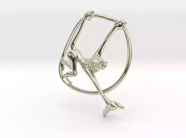 Monkymagic animal in silver circle