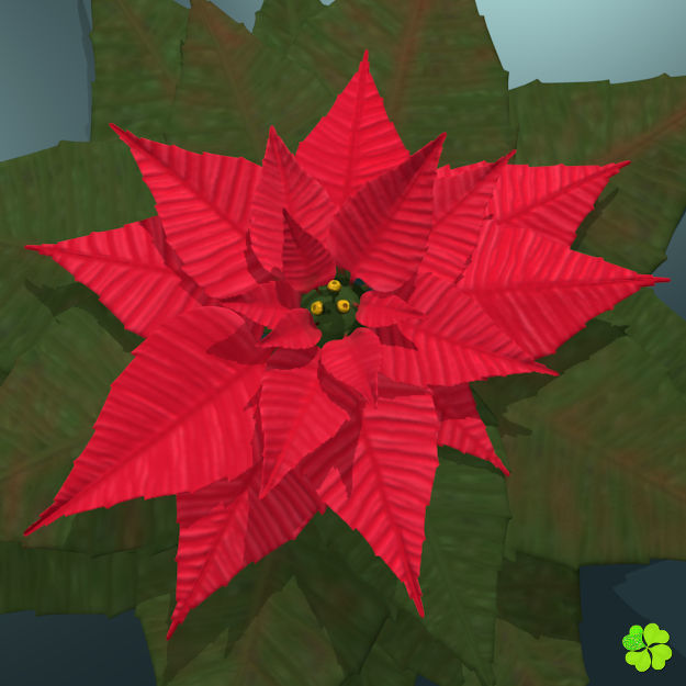 Poinsettia low poly Low-poly 3D model_9
