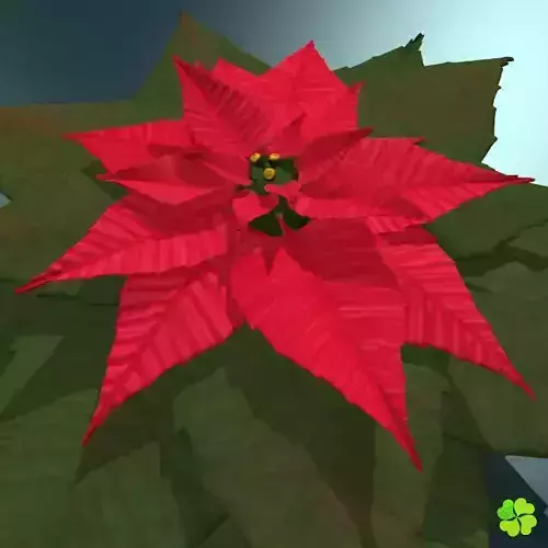 Poinsettia low poly Low-poly 3D model