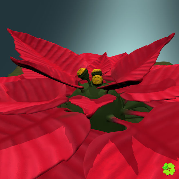 Poinsettia low poly Low-poly 3D model_4