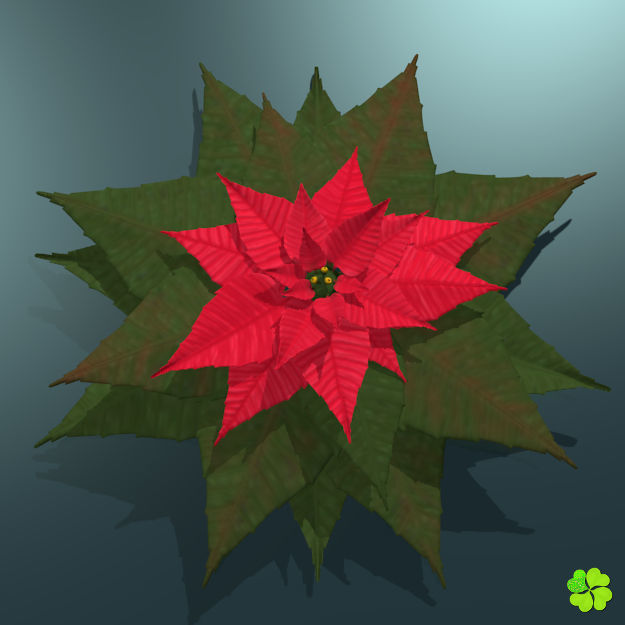 Poinsettia low poly Low-poly 3D model_8