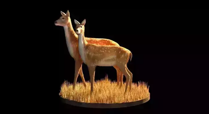 Deer 3d model two in grass