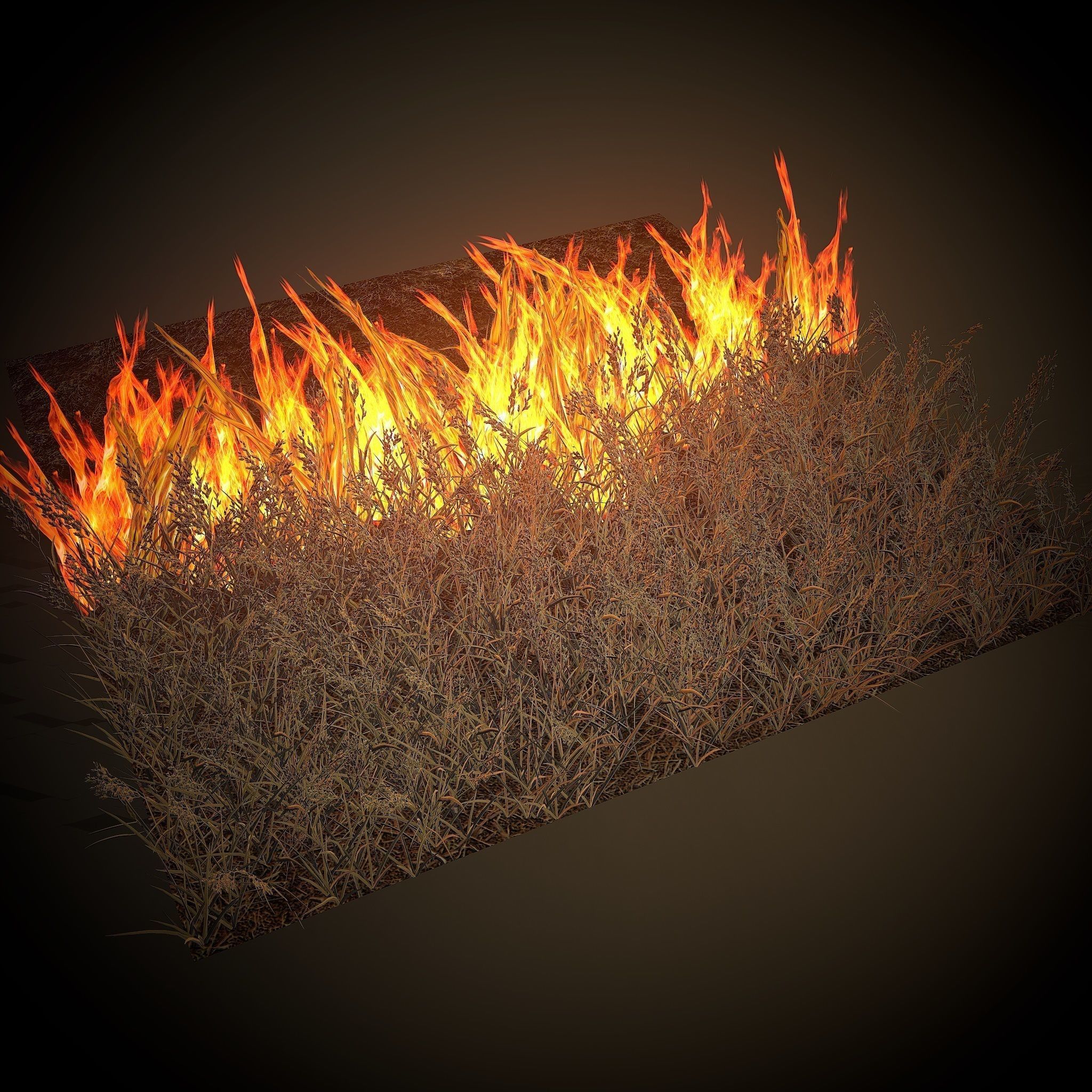Burning grass Low-poly 3D model_9