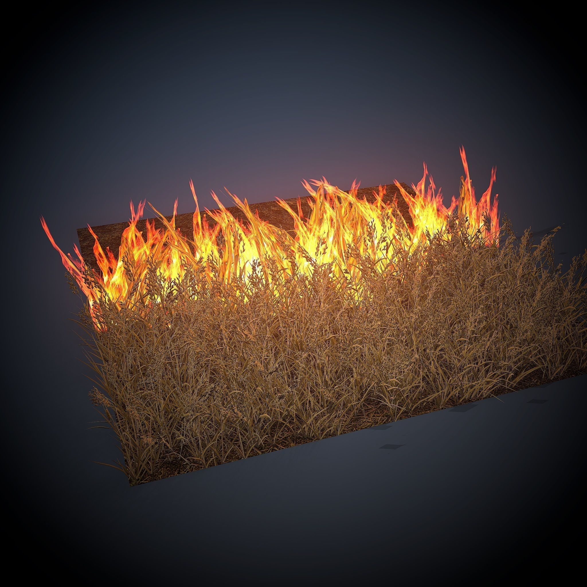 Burning grass Low-poly 3D model_3
