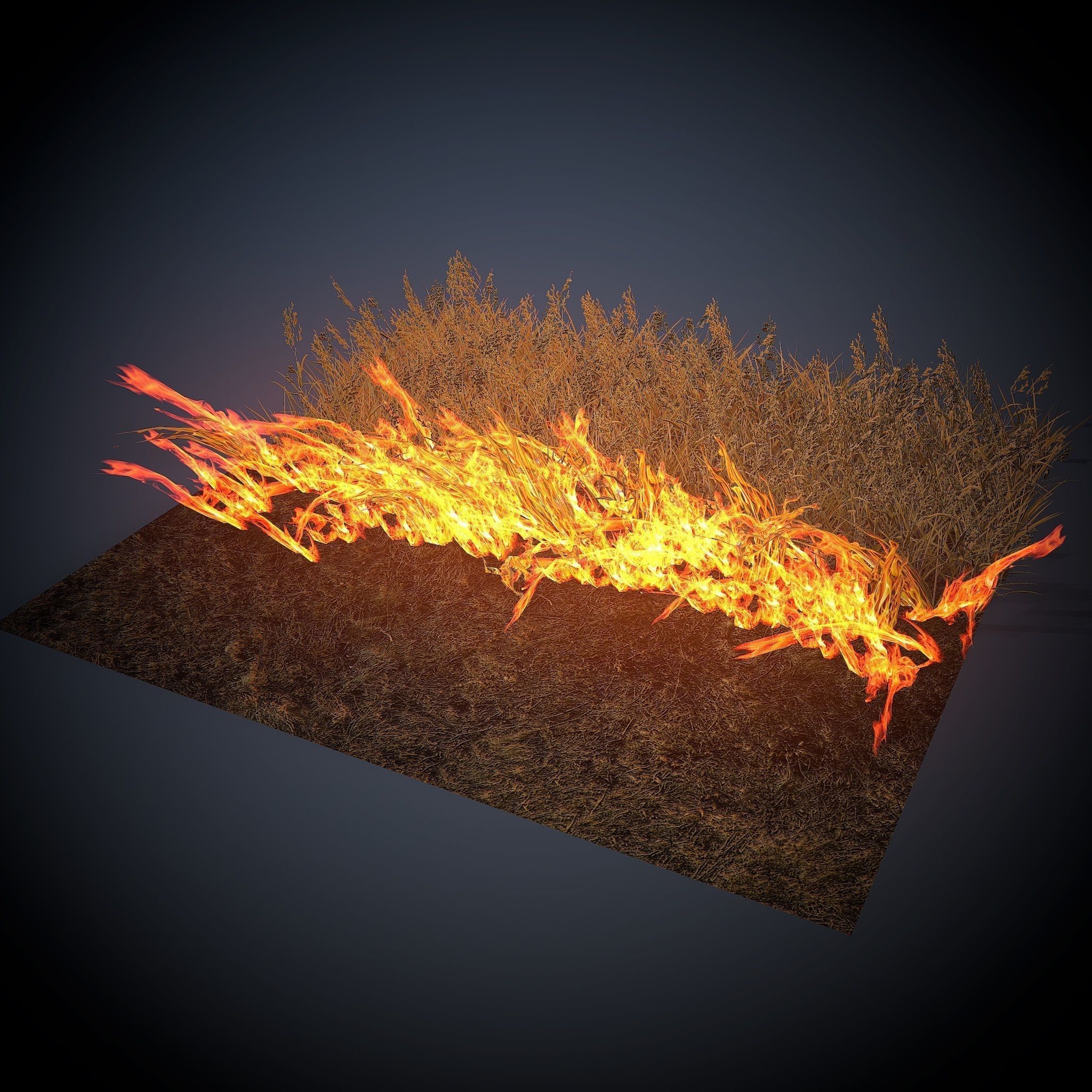Burning grass Low-poly 3D model_2