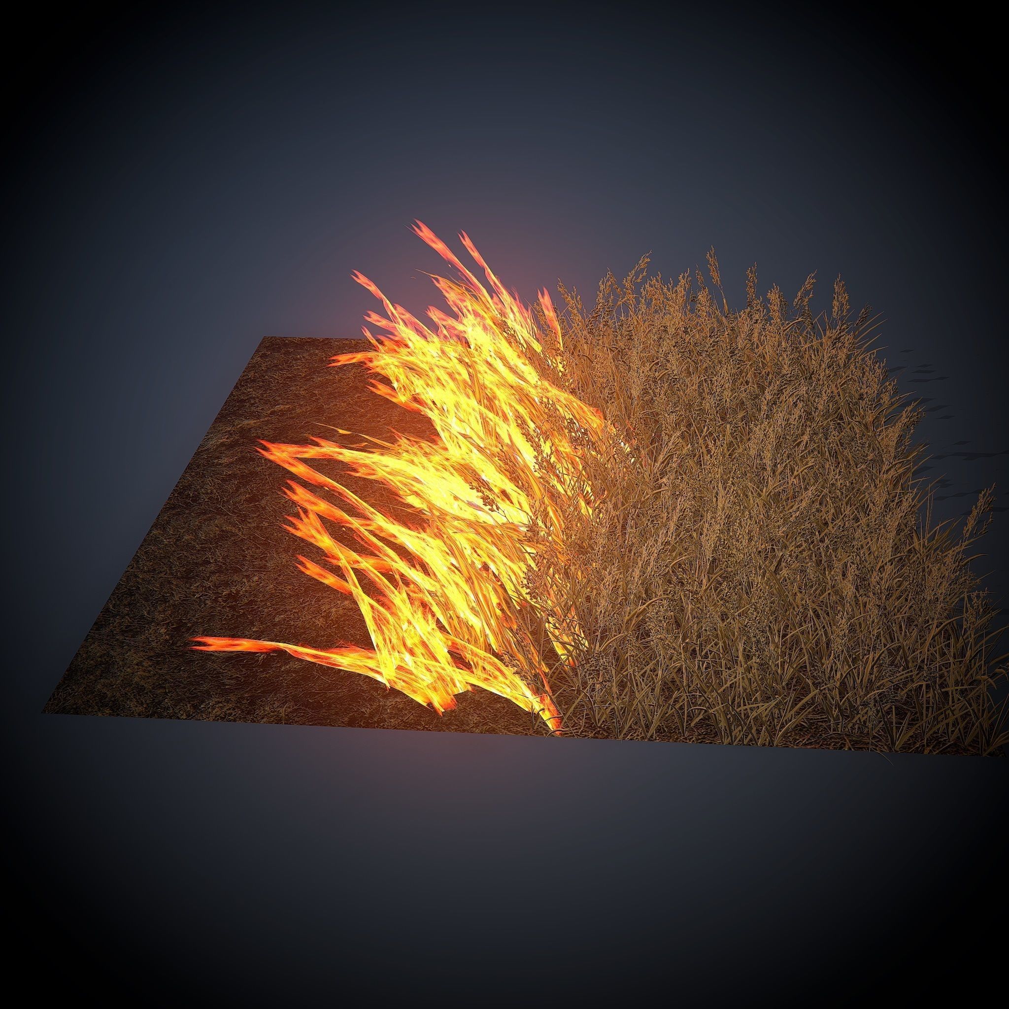 Burning grass Low-poly 3D model_7