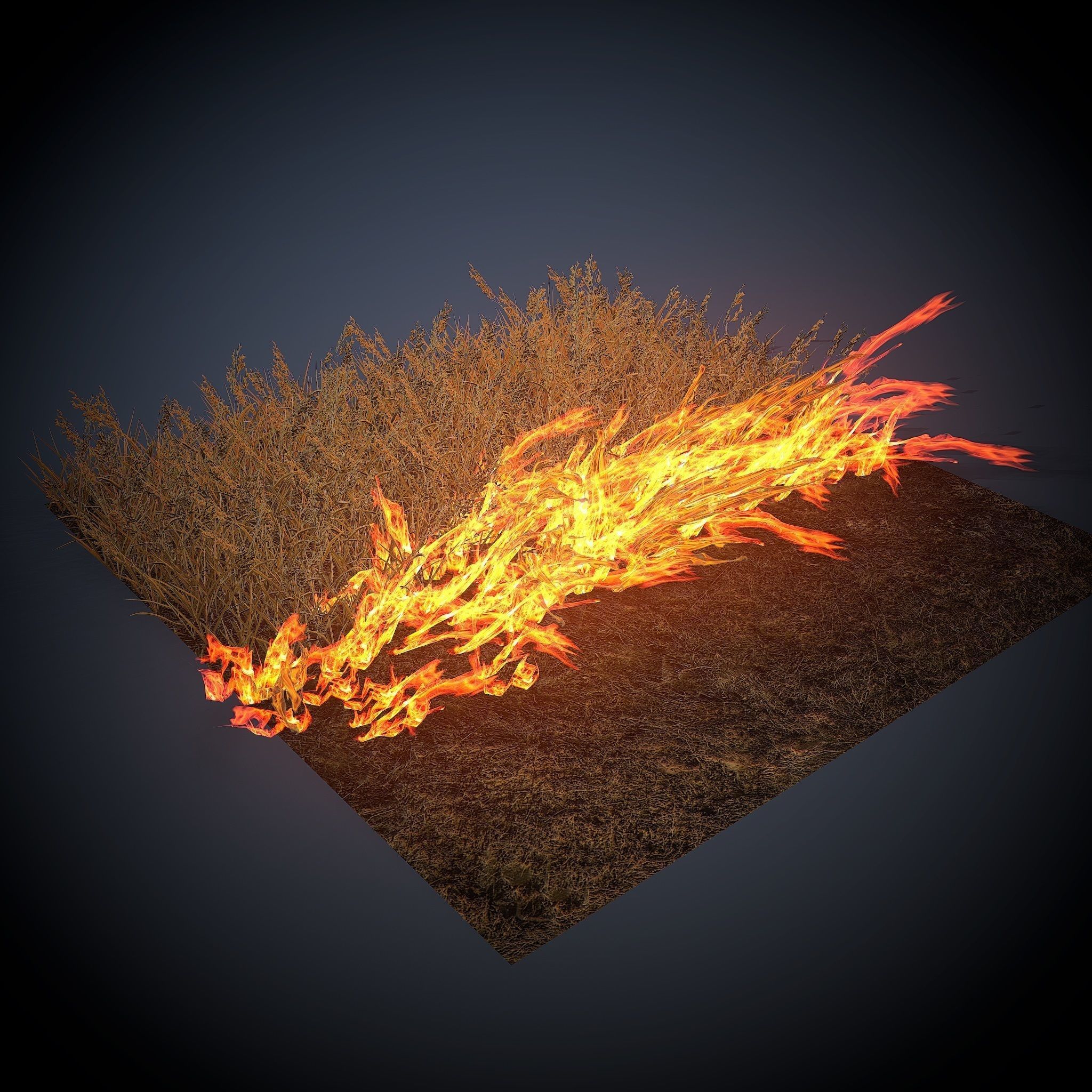 Burning grass Low-poly 3D model_10