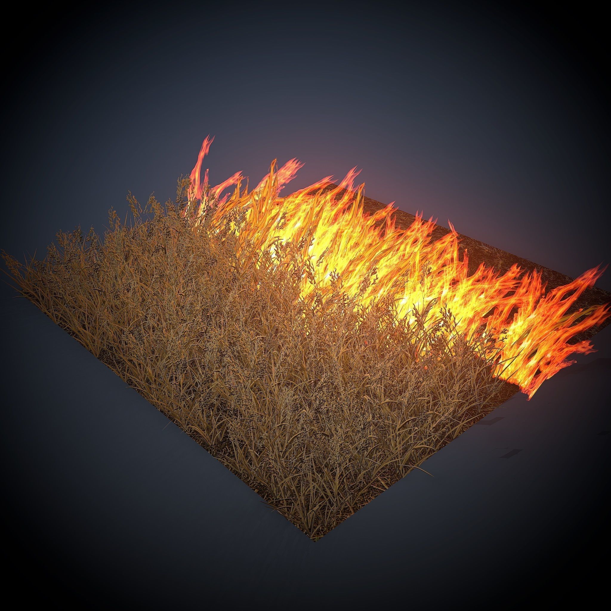 Burning grass Low-poly 3D model_1