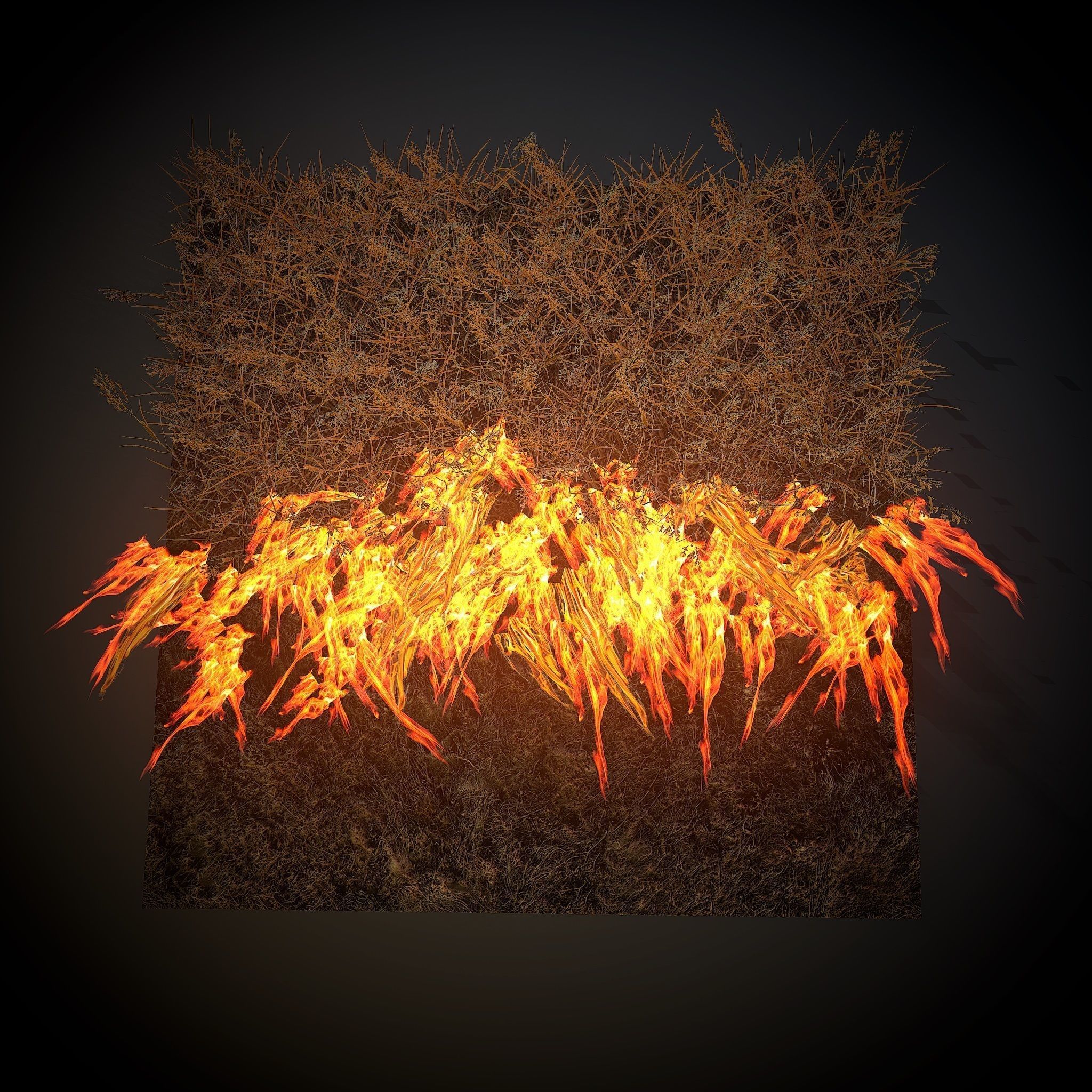 Burning grass Low-poly 3D model_4