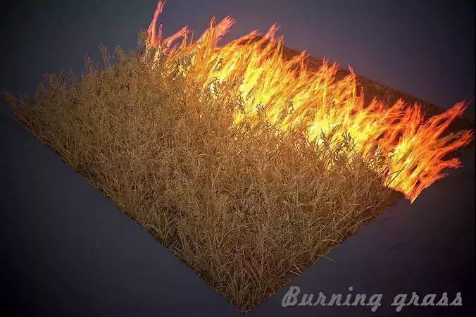 Burning grass