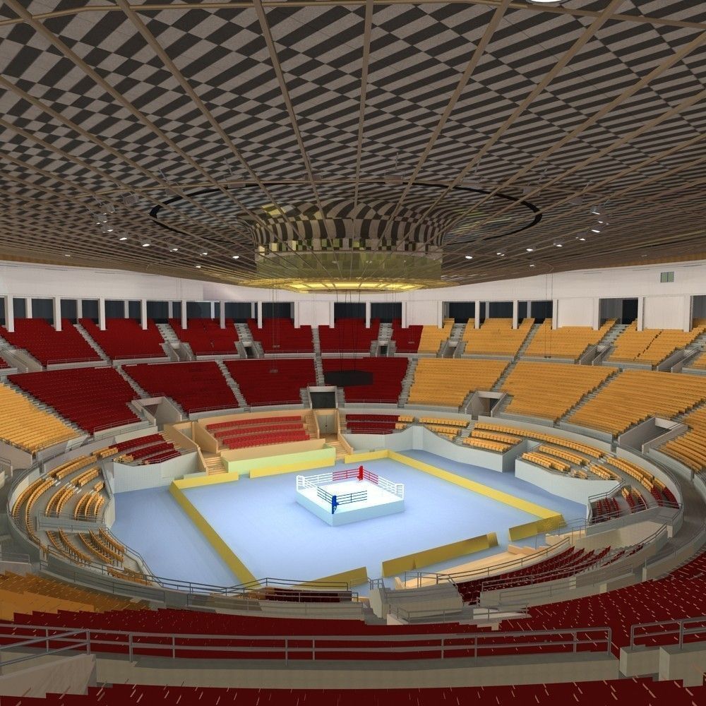 Boxing Arena 3D model_3