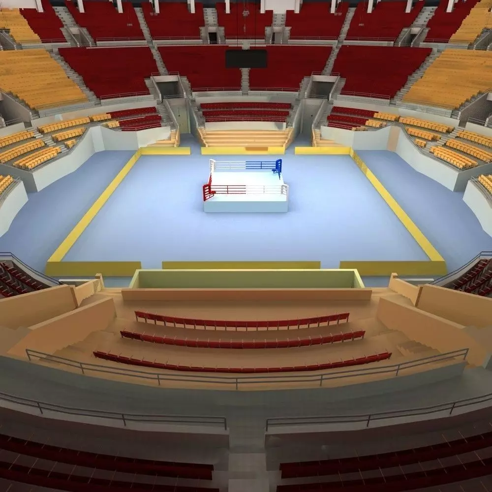 Boxing Arena 3D model_0