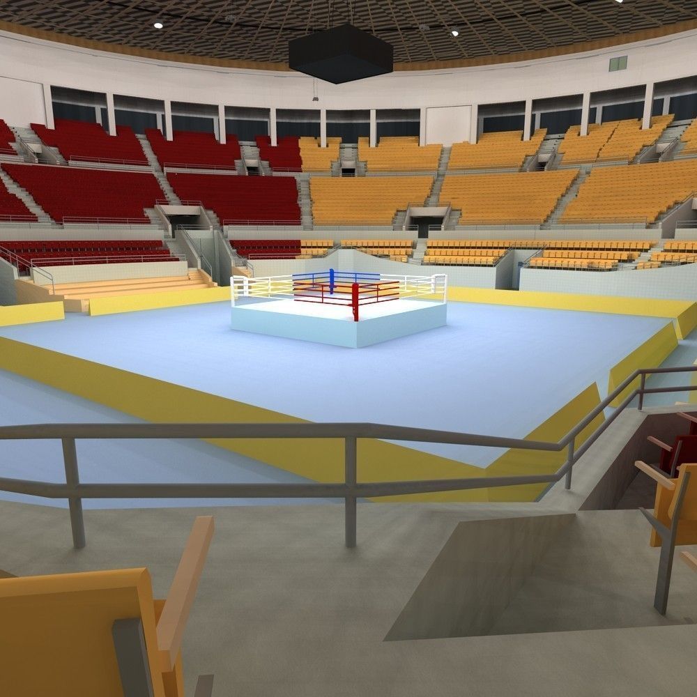 Boxing Arena 3D model_9