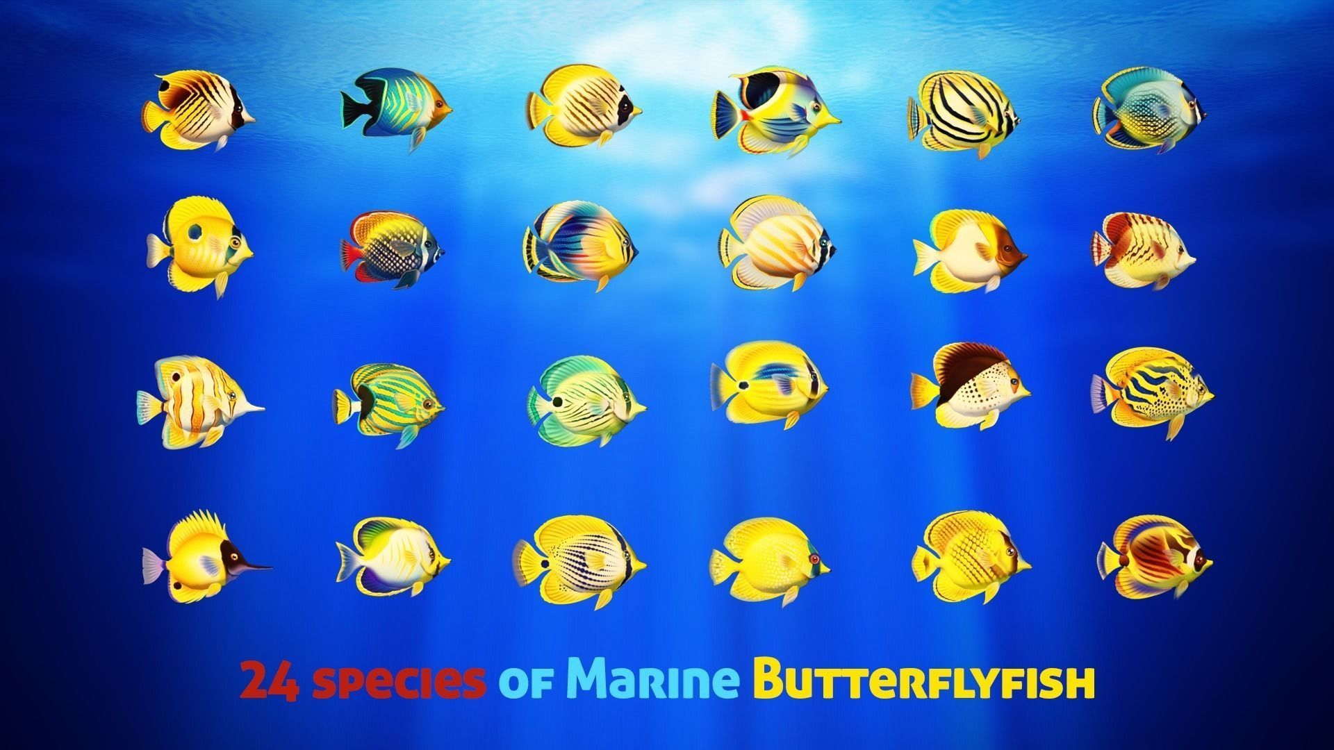 Cartoon Butterflyfish  Low-poly 3D model_1