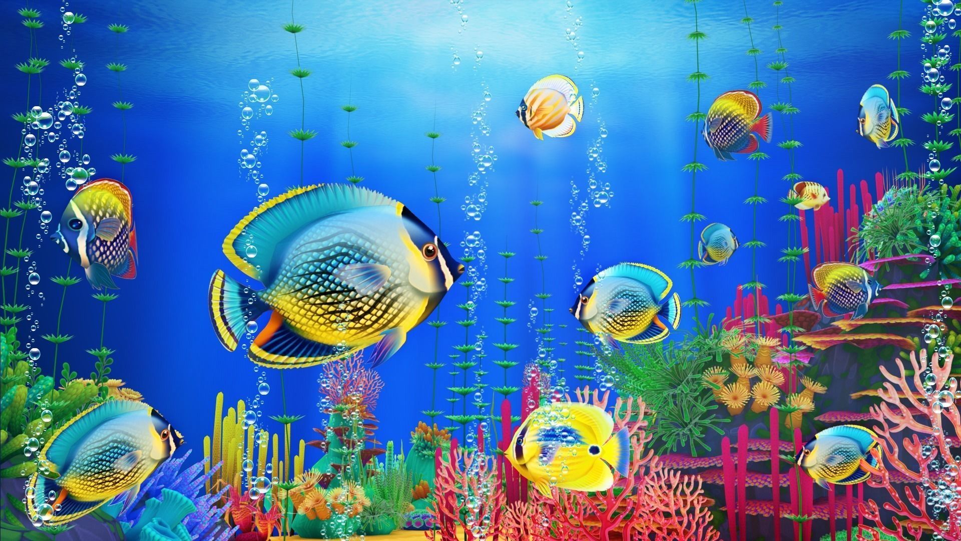 Cartoon Butterflyfish  Low-poly 3D model_11