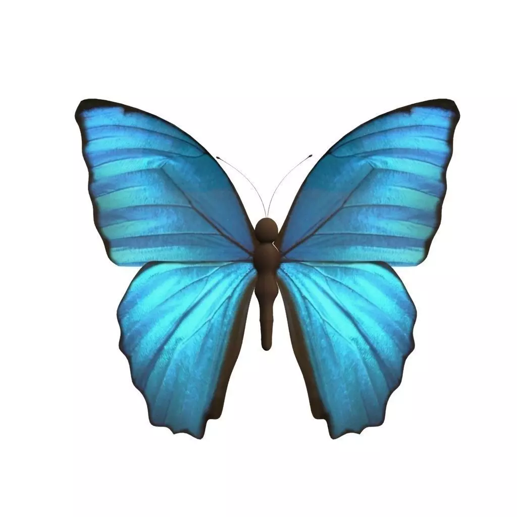 Butterfly Low-poly 3D model