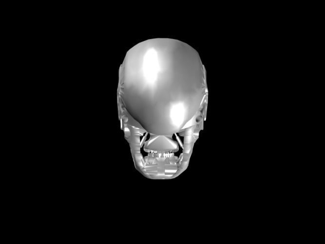 T800 Skull Terminator 3D print model_4