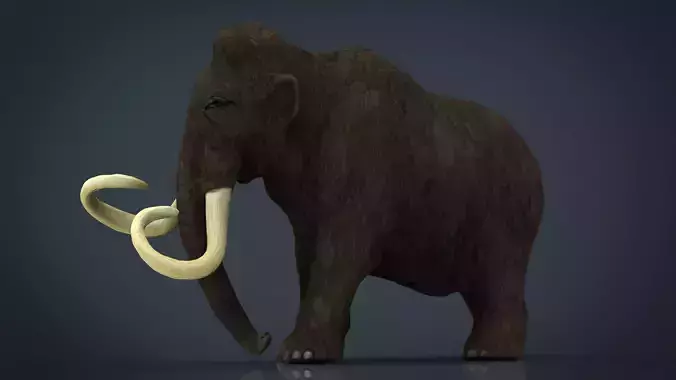 Mammoth woolly