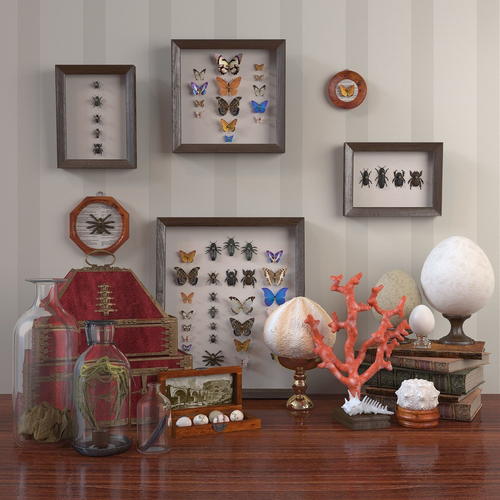 Decorative set Insects