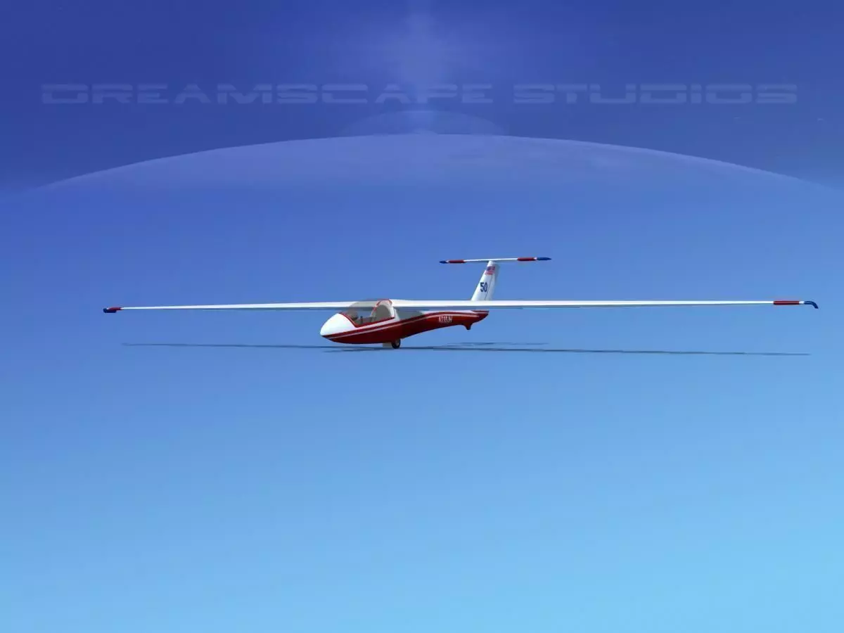 SZD-36 Cobra Glider V05 Low-poly 3D model_0