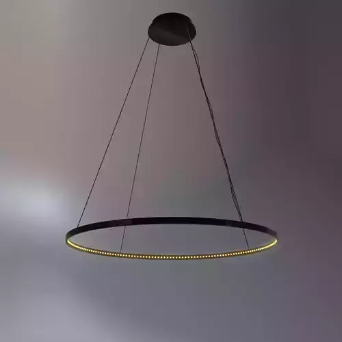 French Pendant Chandelier