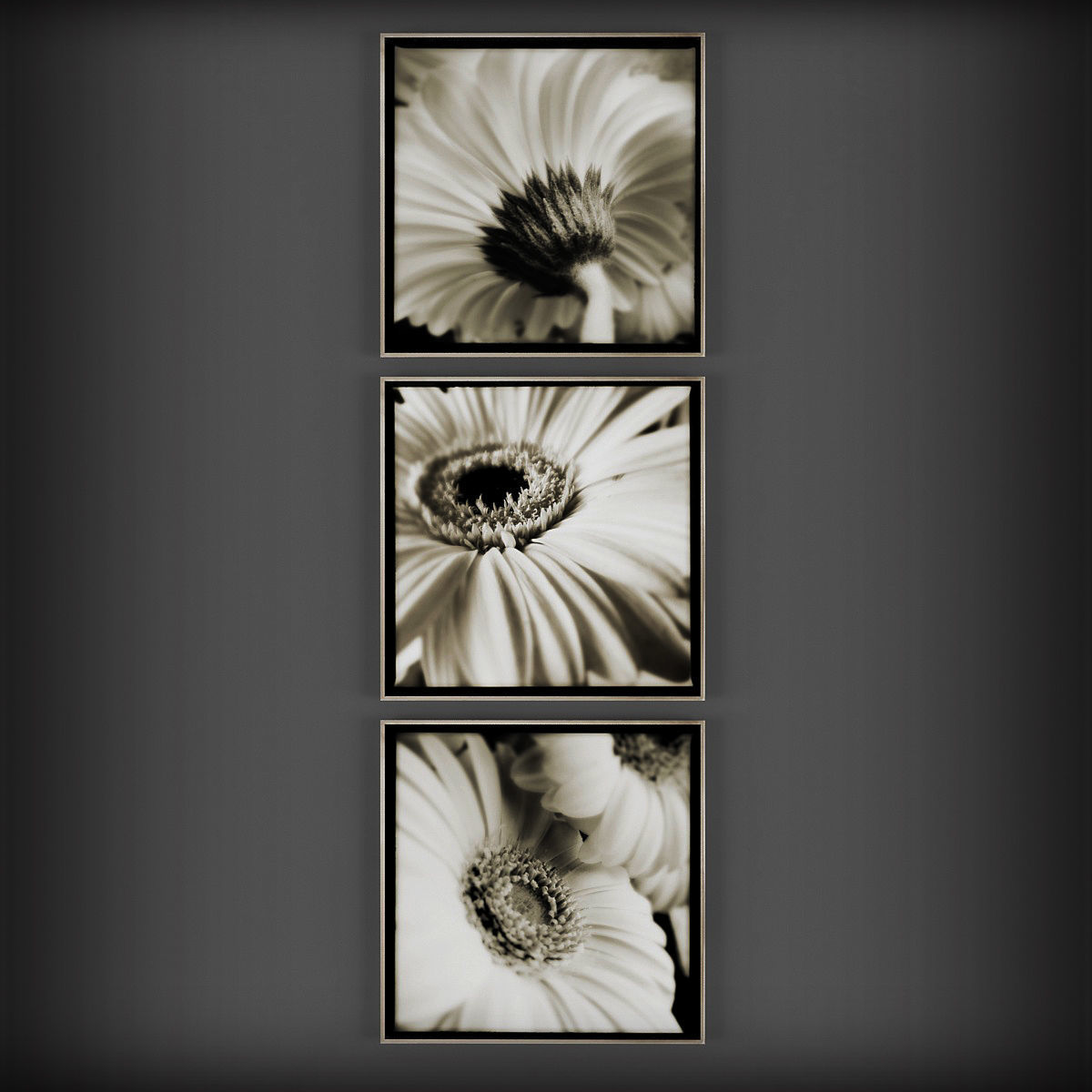 Picture Frames Low-poly 3D model_1