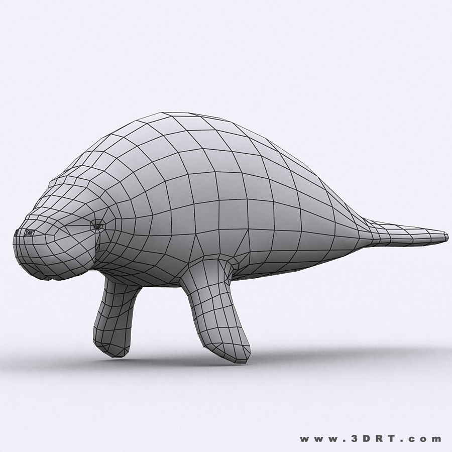 3DRT - Sealife - Manatee Low-poly 3D model_5