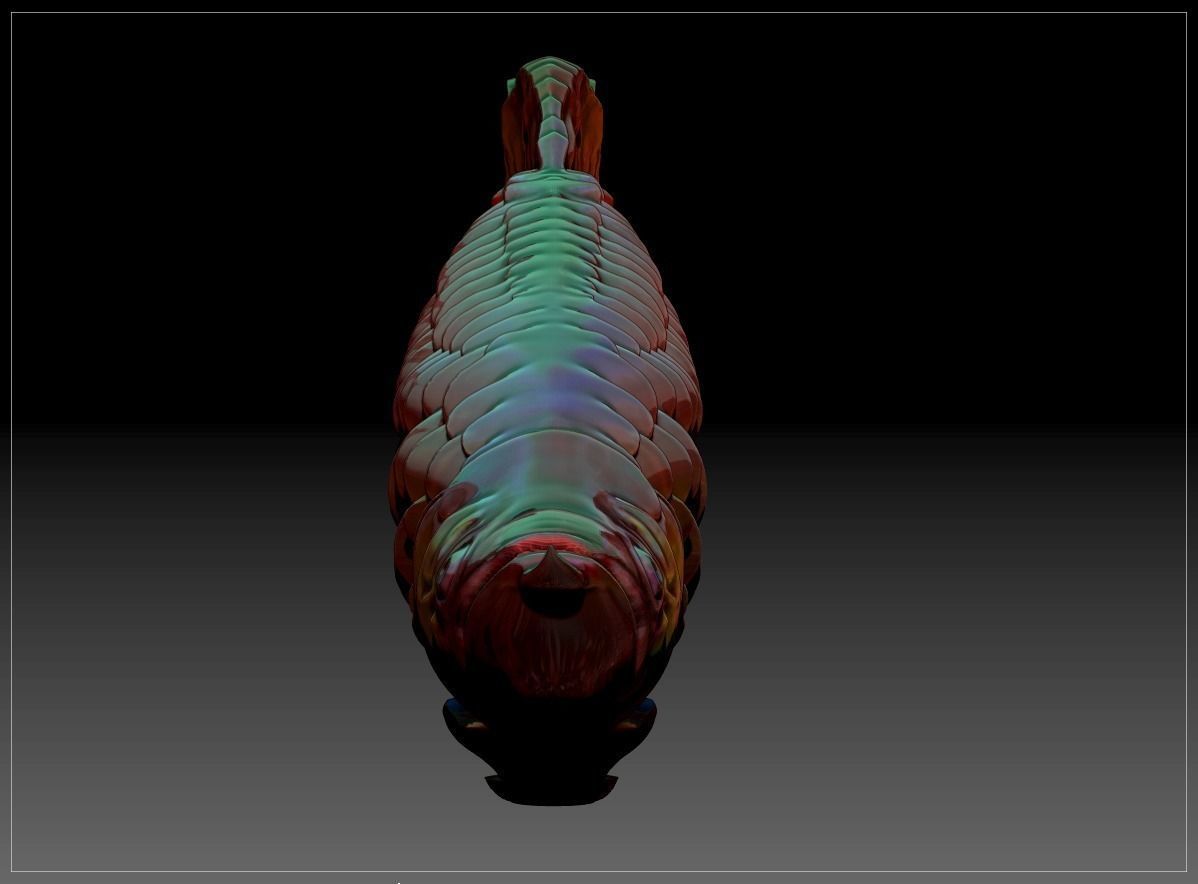 Dragon Fish Free 3D print model_1