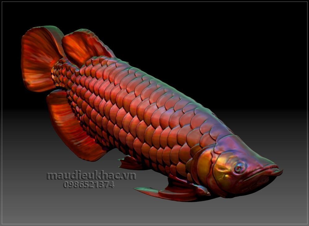 Dragon Fish Free 3D print model_0
