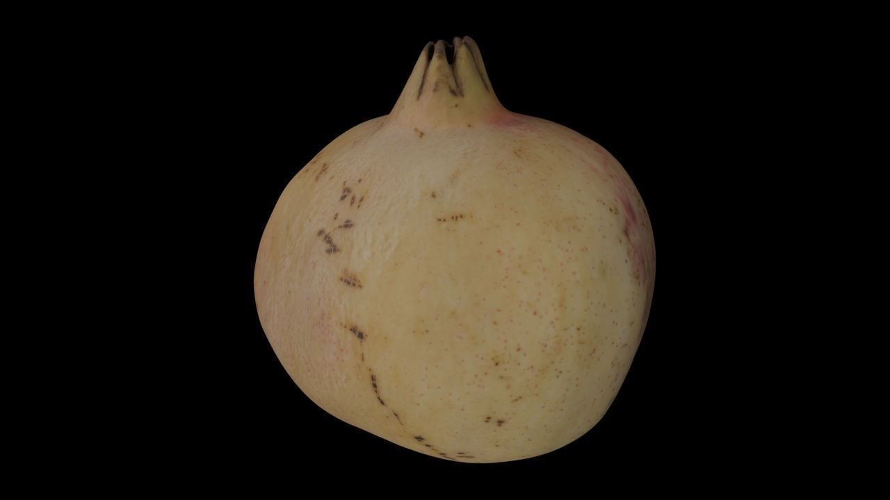 Pomegranate PBR Low-poly 3D model_1