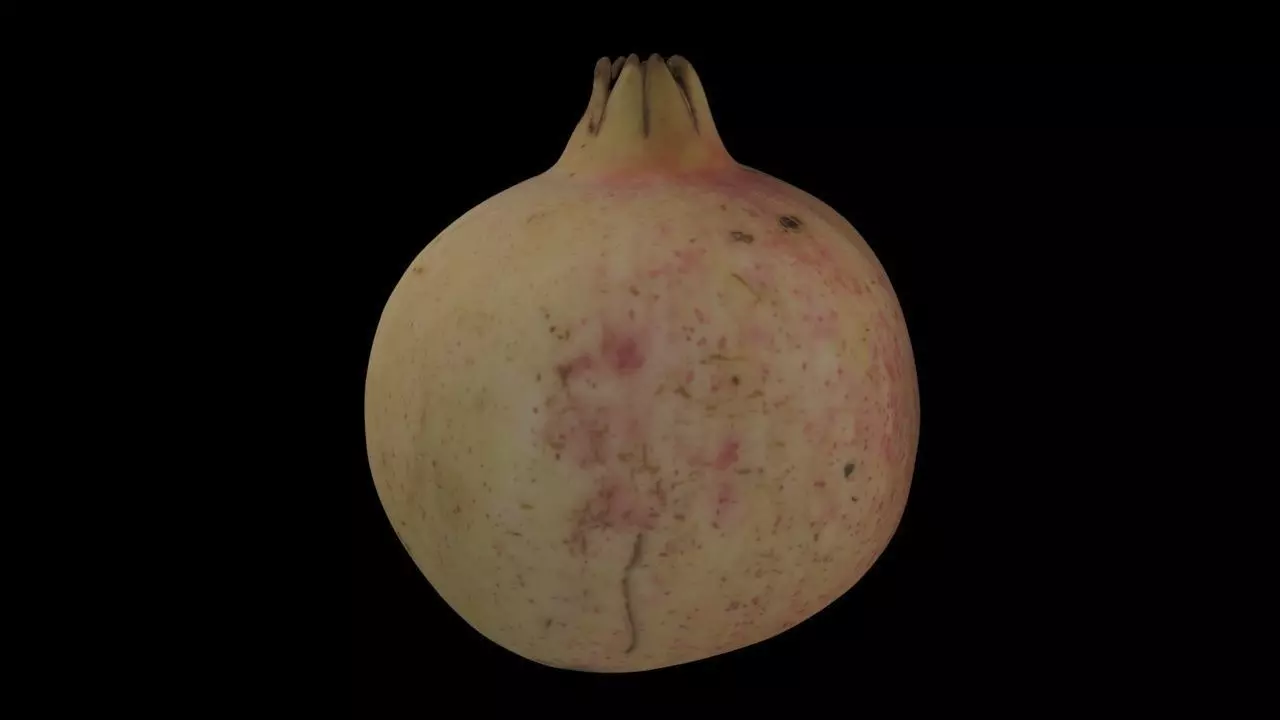 Pomegranate PBR Low-poly 3D model_0