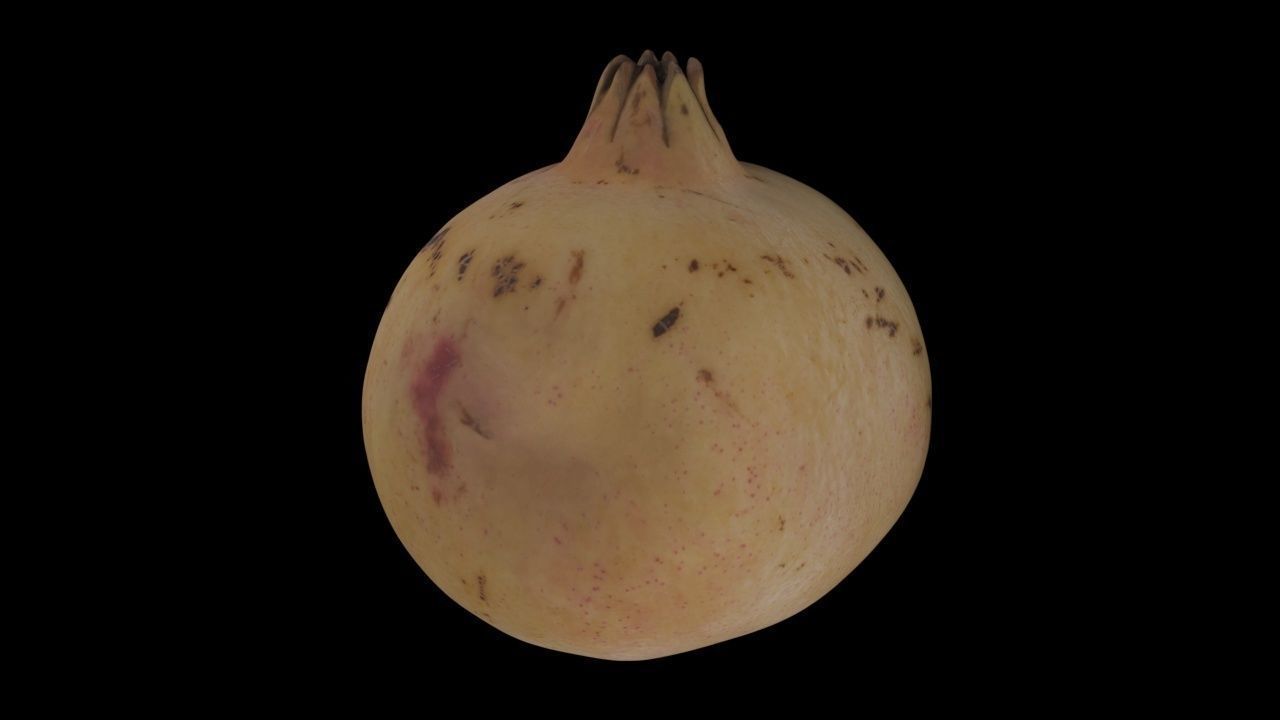 Pomegranate PBR Low-poly 3D model_4