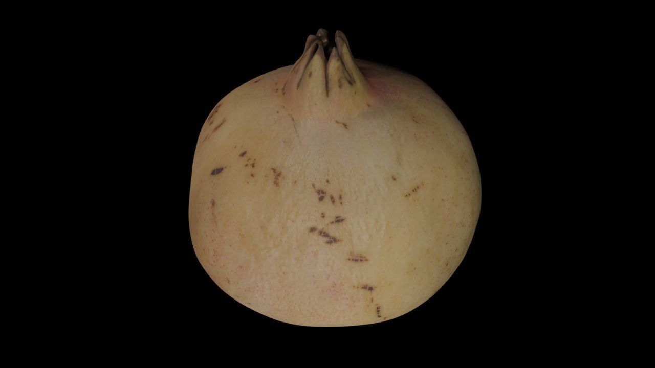 Pomegranate PBR Low-poly 3D model_3