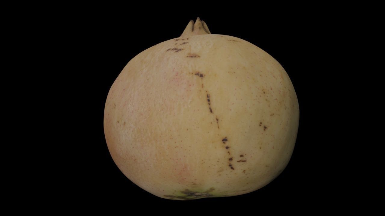 Pomegranate PBR Low-poly 3D model_7